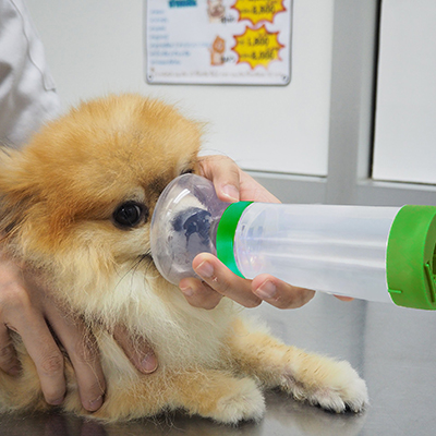 Anti-static Valved H